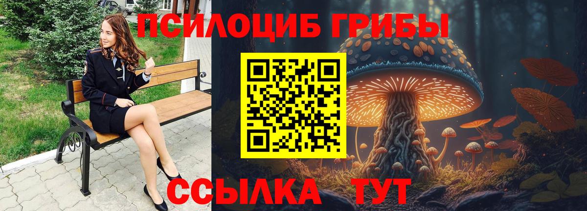 Псилоцибиновые грибы GOLDEN TEACHER Выкса