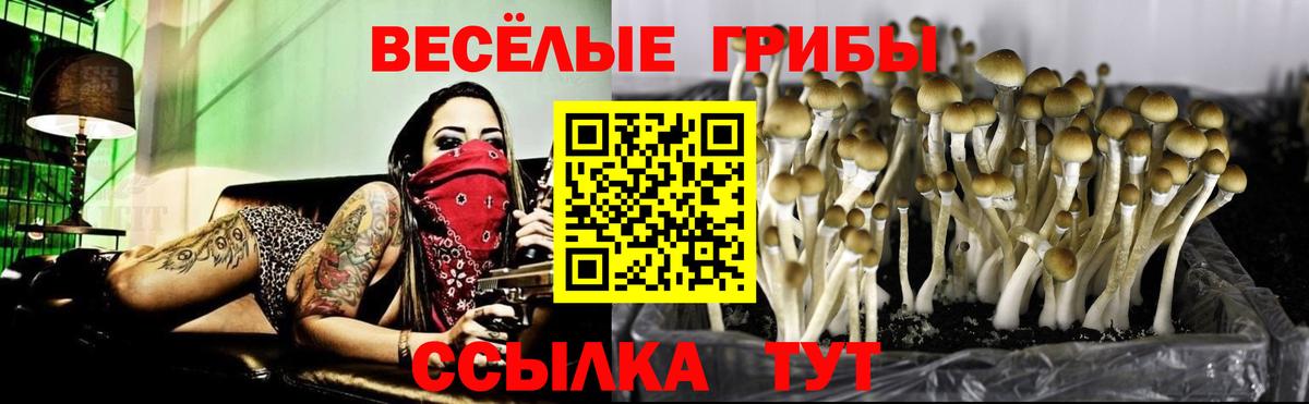 Галлюциногенные грибы MAGIC MUSHROOMS  Галлюциногенные грибы мицелий  Выкса  Вход с VPN 